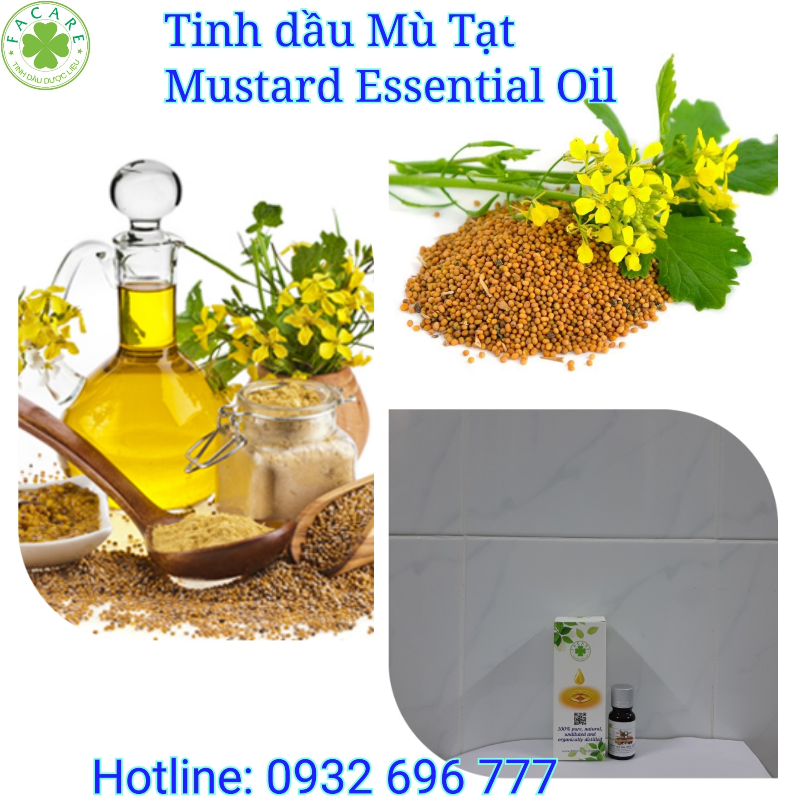 Tinh dầu Mù Tạt Mustard essential oil  - 10ml