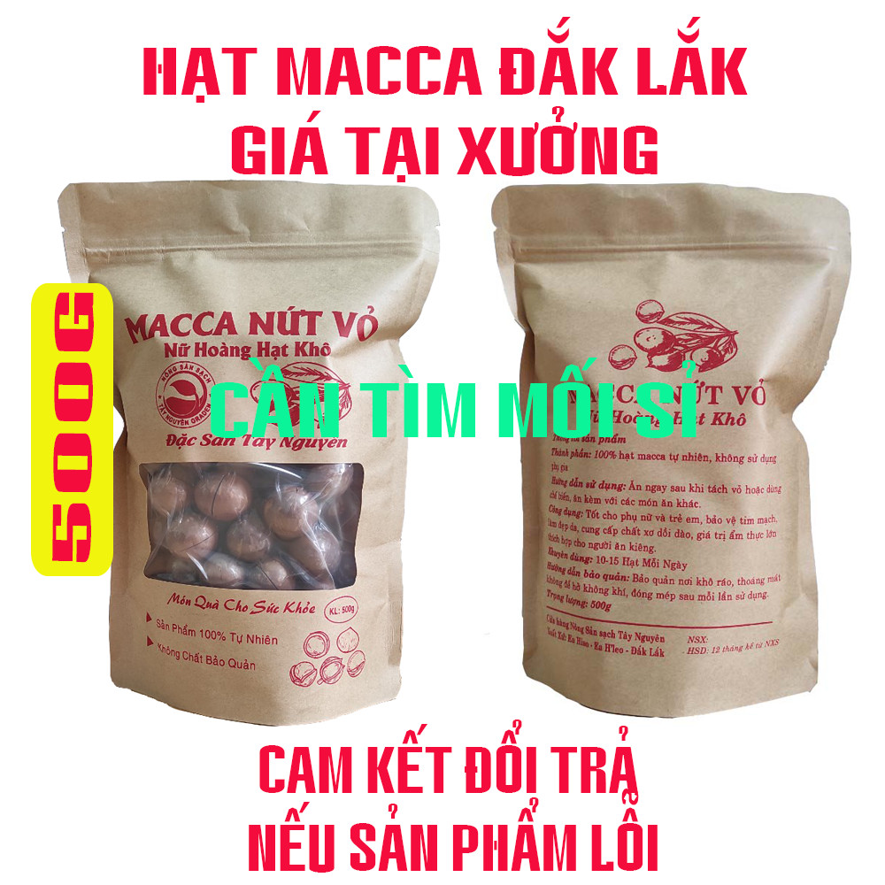 Hạt Mắc ca nứt vỏ Việt Nam hạt Macca Dak lak Hạt mac ca tây nguyên Bịch 500g