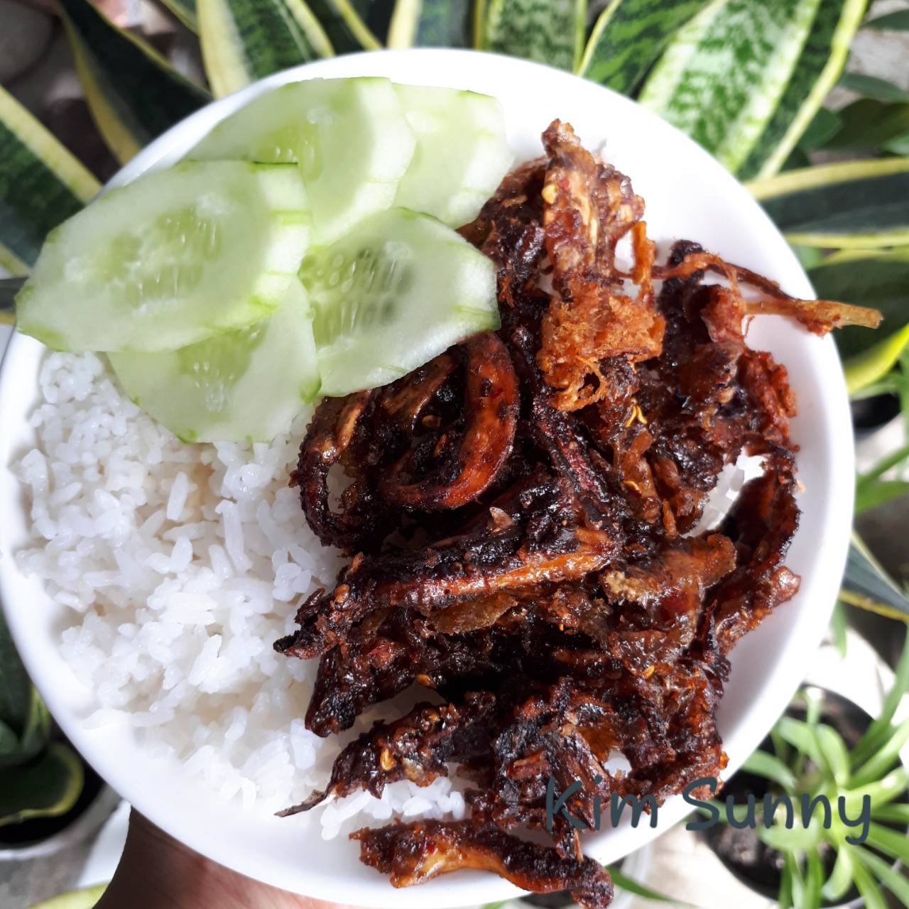 Đầu mực tẩm