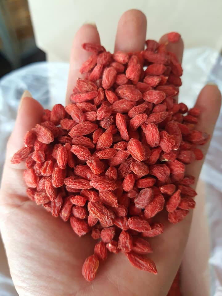 1Kg Kỷ tử đỏ Ninh Hạ hạt to đều đẹp