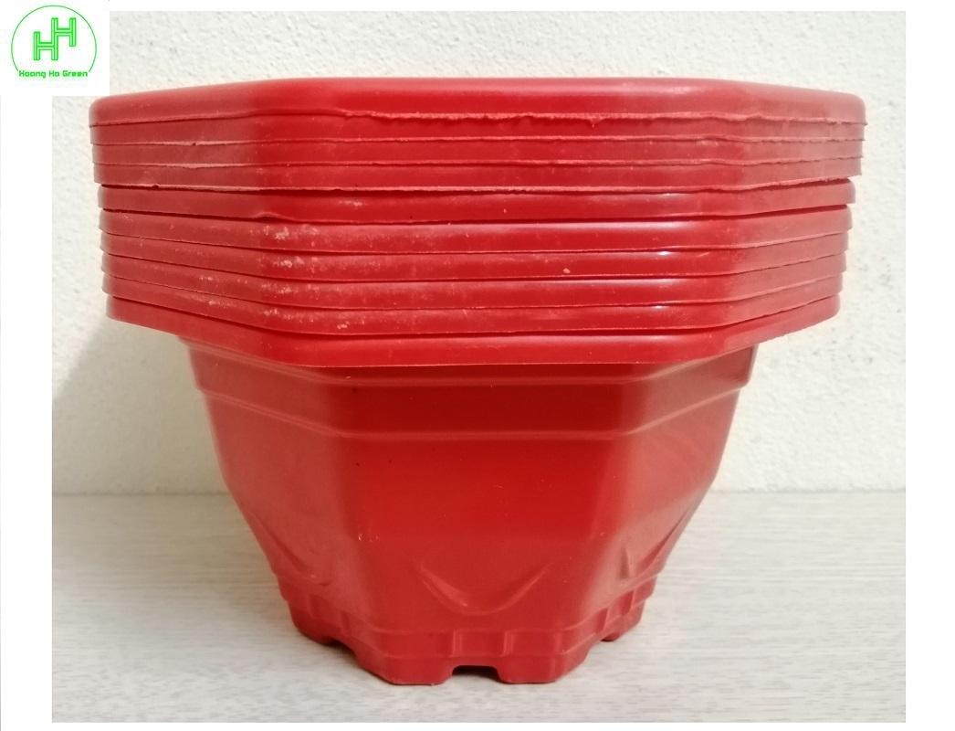 Combo 10 chậu nhựa trồng cây bát giác mini, kích thước 17x17x10cm