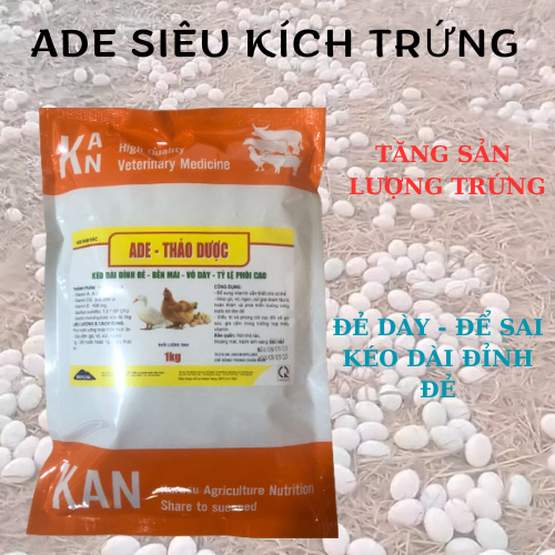 Siêu kích đẻ, kích trứng, vỏ trứng dày, đẻ bền cho gà, ngan, vịt, ngỗng, chim gói 1kg