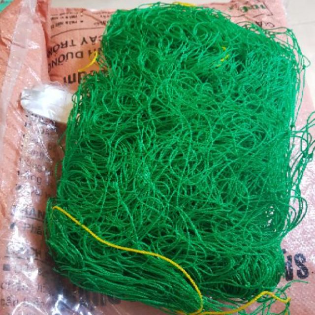 Lưới làm giàn leo, giàn leo cây kt 10x2m tốt cho cây hao các loại tốt cho cây hoa,siêu đẹp