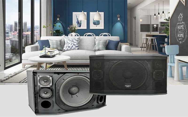 Loa paramax c10 pro - giá 1 cặp - hàng chính hãng 2023 - gia khang shop