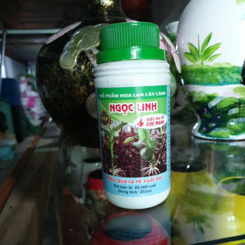 Chế phẩm hoa lan Ngọc Linh,siêu ra rễ cực mạnh,hiệu quả ra rễ xuất sắc