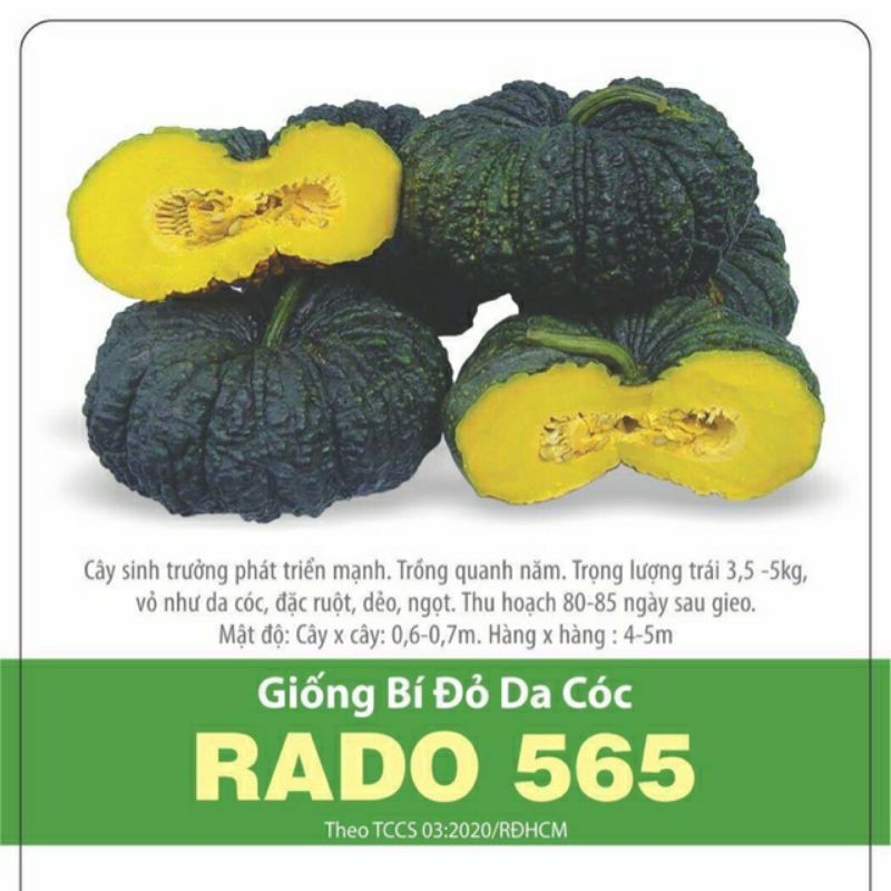 Hạt giống bí đỏ da cóc gói 5 hạt - rado 565