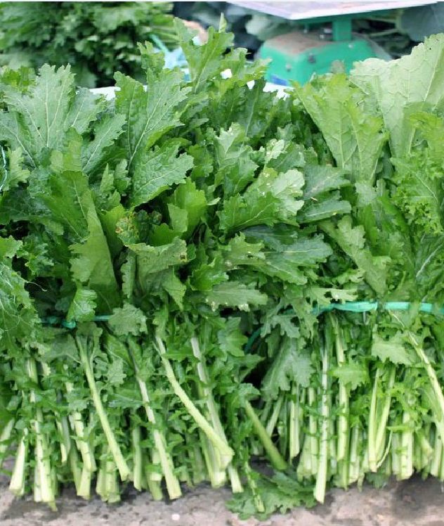 Hạt giống rau cải mèo Hà Giang - gói 1kg