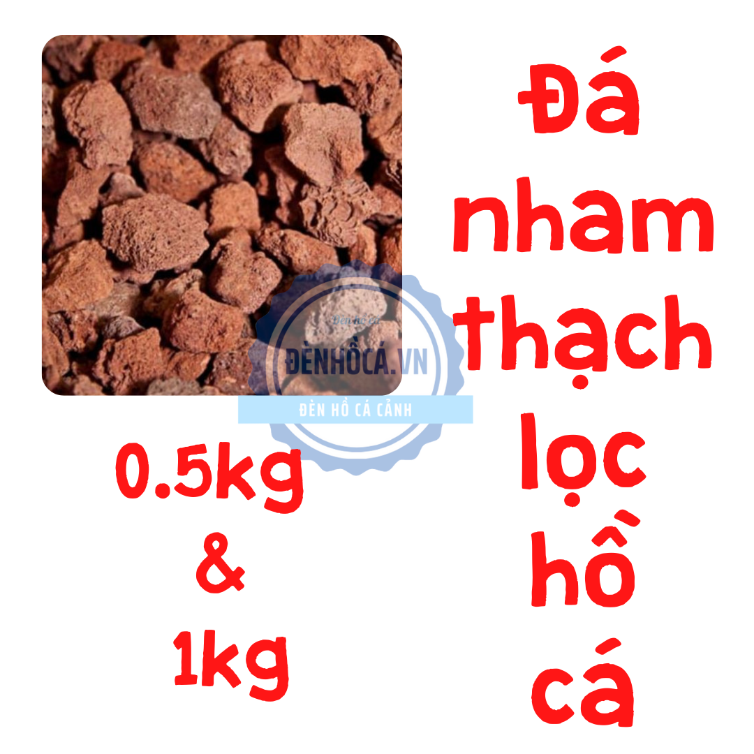 Đá nham thạch phụ kiện lọc cho hồ cá cảnh