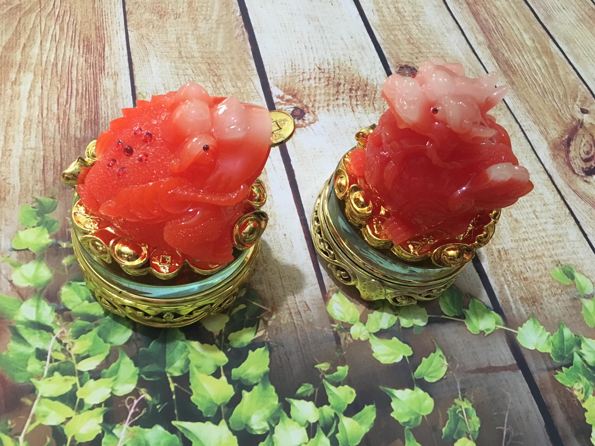 Cóc tỳ hưu đỏ