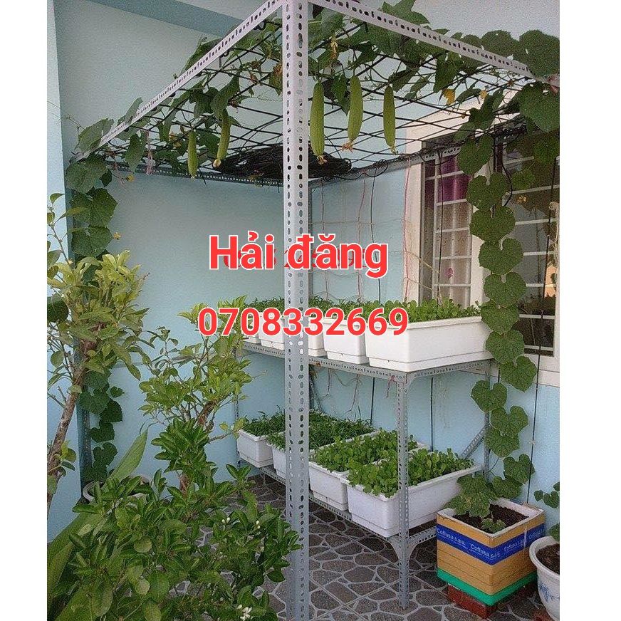 Bộ khung giàn trồng Bầu Bí ,rau ,mướp, dưa đỗ các loại cây thân leo Dài 2m x Rộng 2m x cao 2m đa năng