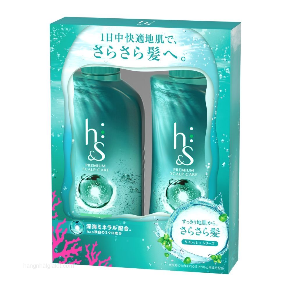 Bộ gội xả h&s nhật bản