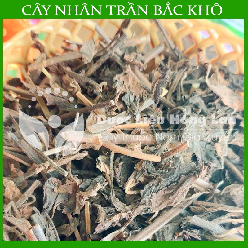 Combo 2kg cây nhân trần sạch khô - công ty dược liệu hồng lan