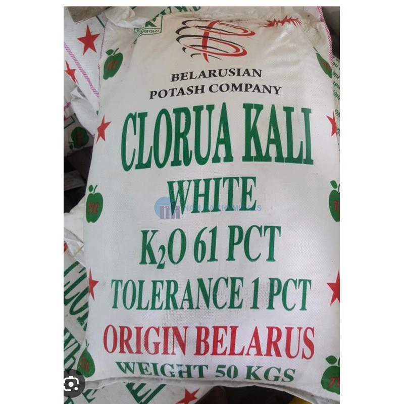 Phân bón kali trắng - Kali Clorua - KCL Tạo độ ngọt cho cây ăn trái