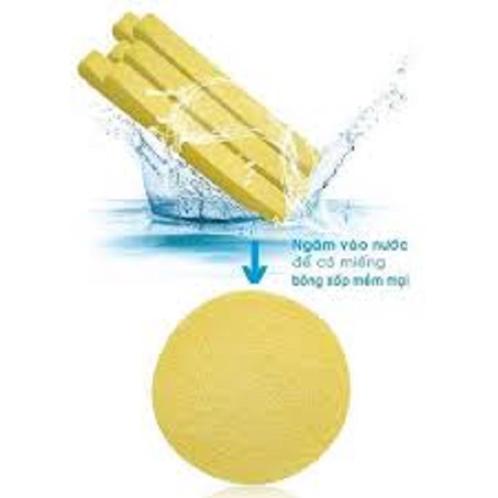 Bông mút bọt biển rửa mặt dạng nén