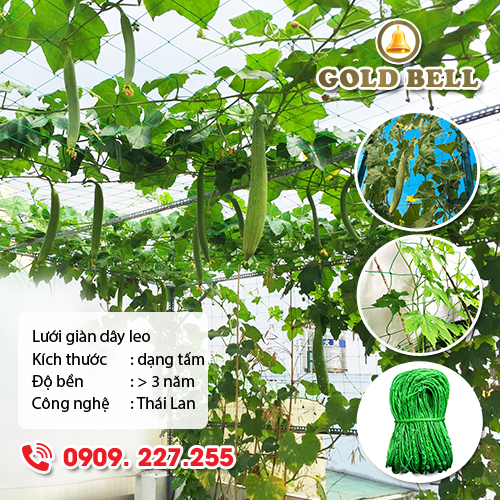 Lưới giàn dây leo Goldbell (Chuông Vàng) Chính Hãng ô lưới 10cm - khổ 3m, 4m có viền biên