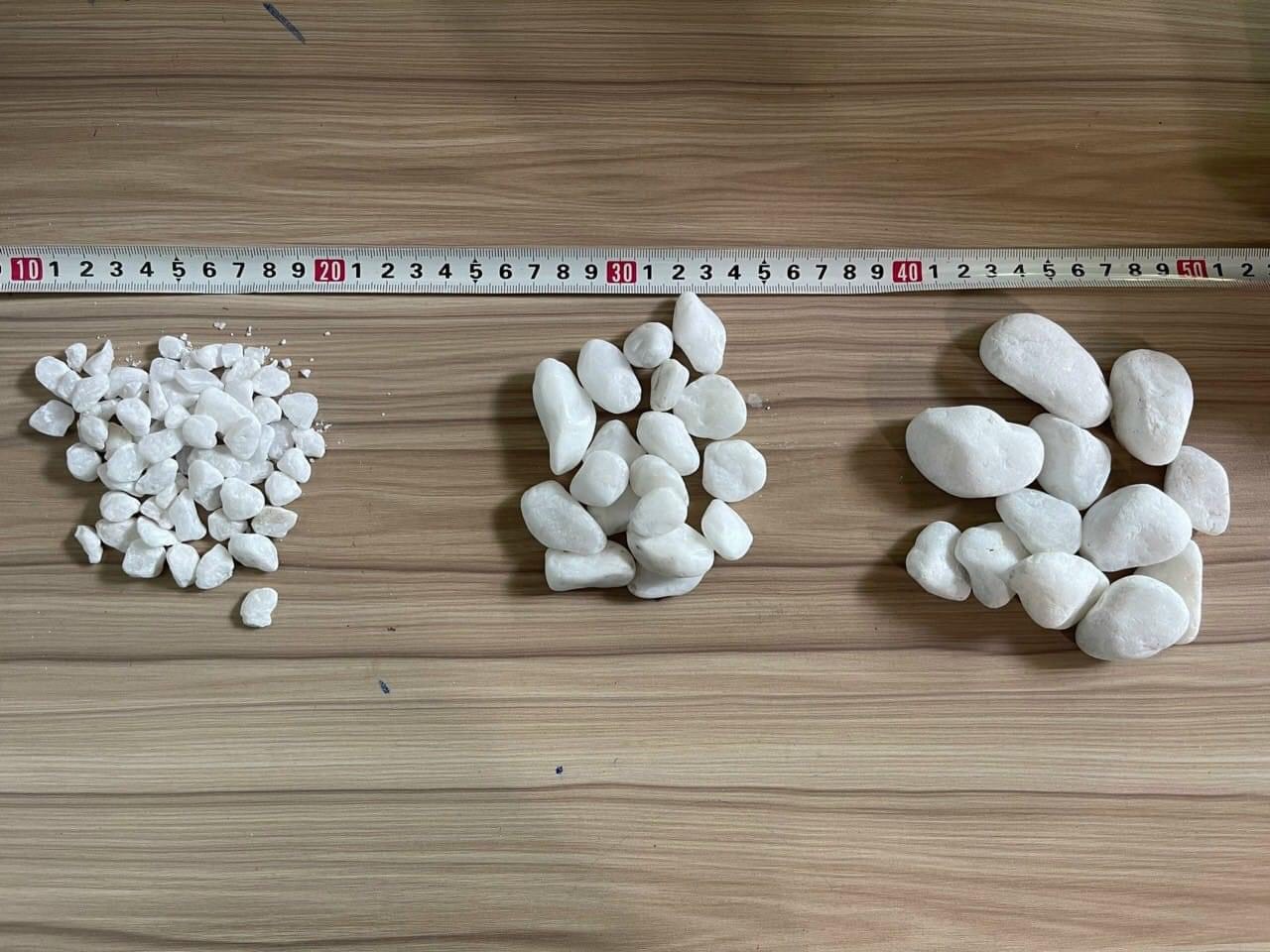 1kg Đá sỏi trắng trang trí các kích thước_Đá sỏi tự nhiên trang trí tiểu cảnh, khuôn viên