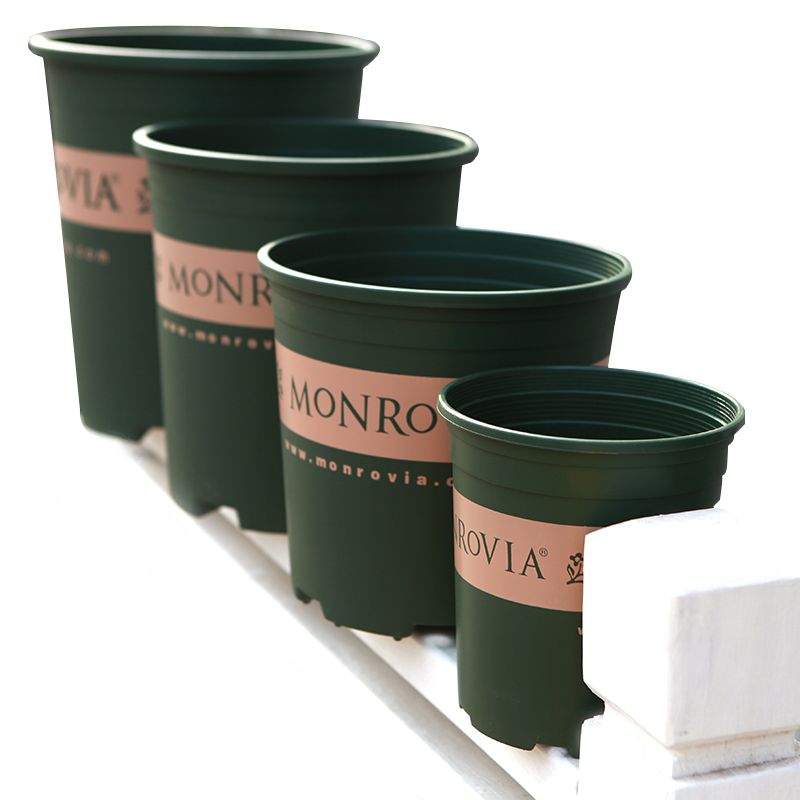 [HCM]2 Bộ Chậu Nhựa Monrovia Gallon Hàng Nhập Khẩu Chính Hãng + Tặng Đĩa Lót