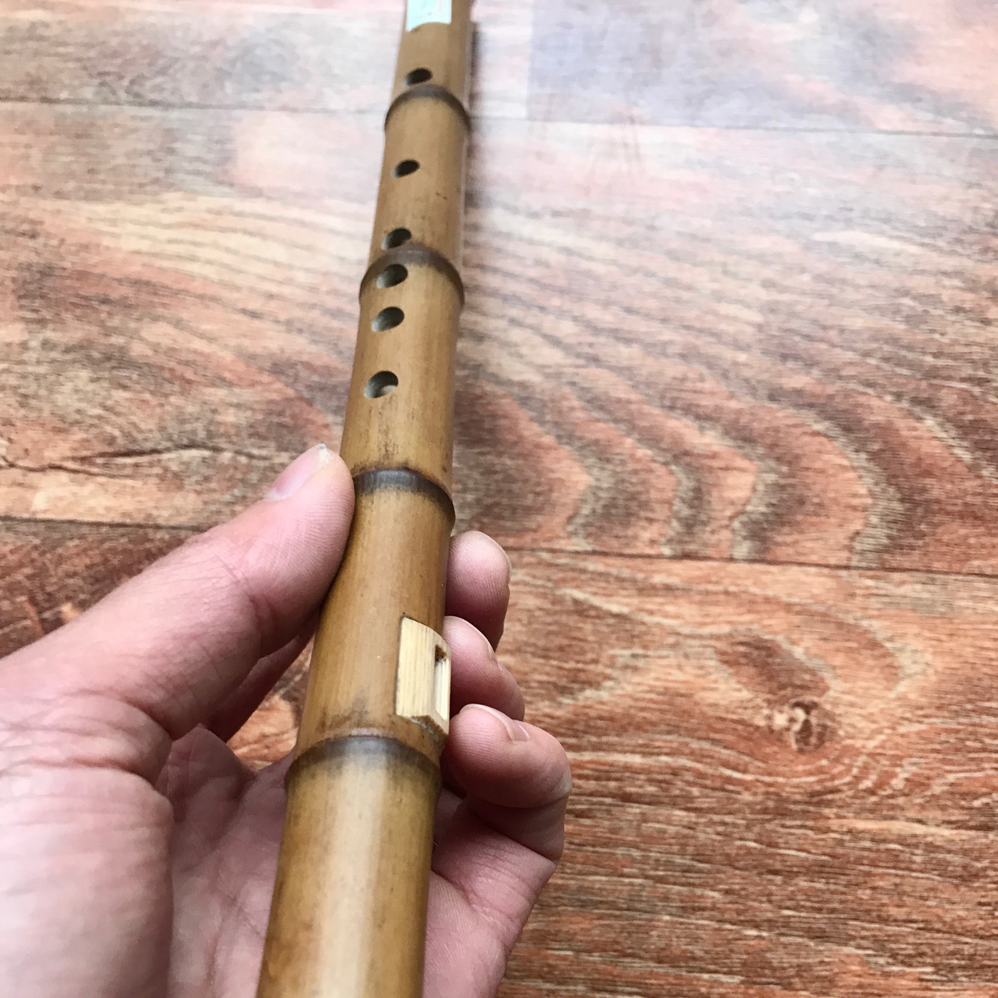 Sáo mèo nữ trúc hun khói siêu VIP