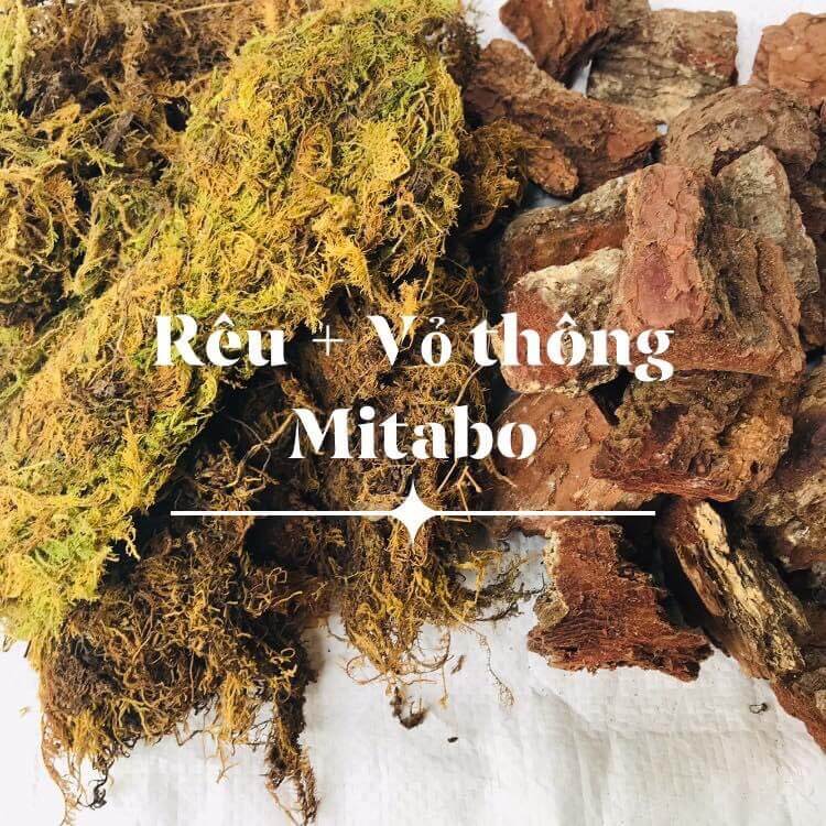 Combo giá thể trồng lan gồm 1 kg vỏ thông trồng lan băm 3-4cm và 500g rêu trồng lan giá thể trồng lan chuyên dụng