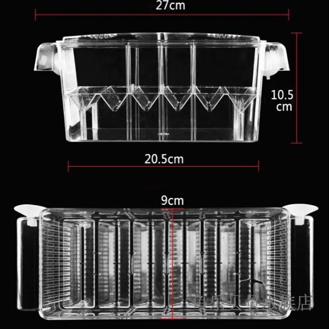 Lồng dưỡng cá, cách ly cá bố mẹ, lồng đẻ - loại to có 3 ngăn - guppy xanh
