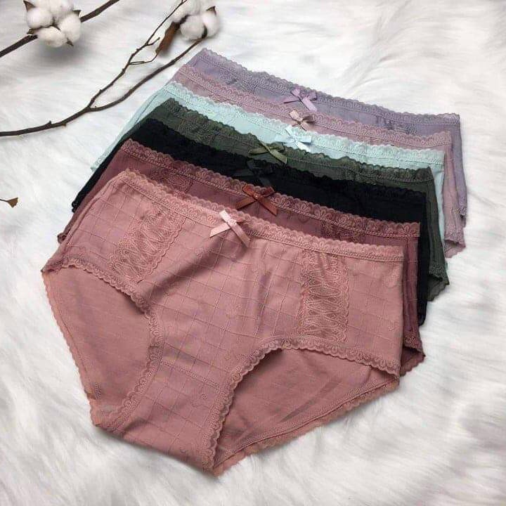 Combo 5 quần lót cotton cạp cao bigsize cho nữ 50kg - 75kg bé ù corner 6209