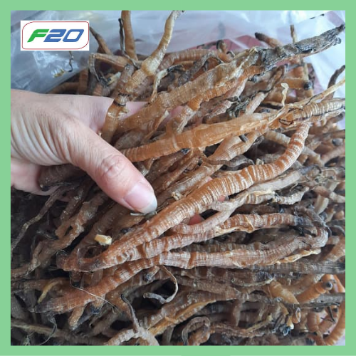 Sá Sùng Sạch Cát 100gr Loại Thượng Hạng Nha Trang - Sá Sùng Nấu Phở Ngon Ngọt Nước