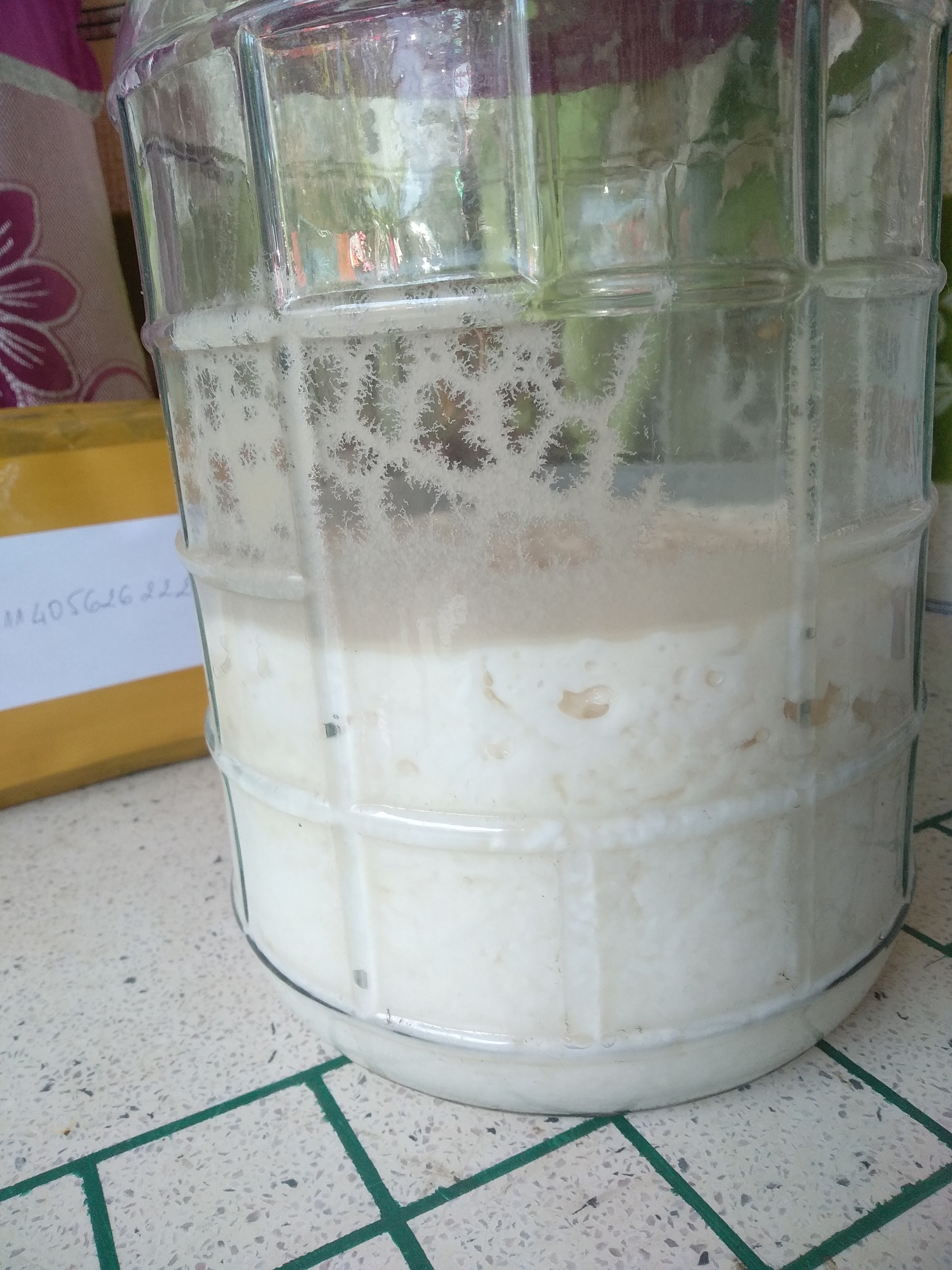 1kg Cơm mẻ lên men tự nhiên