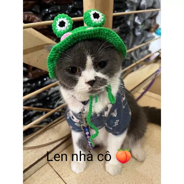 NÓN mũ len handmade ếch cho mèo thú cưng siêu xinh đủ size