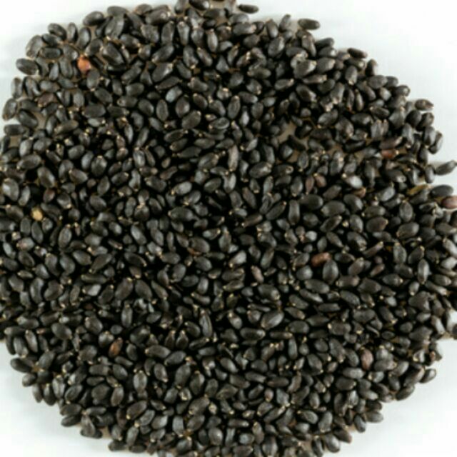 hạt é dùng trong các loại chè, sương sáo - 100g