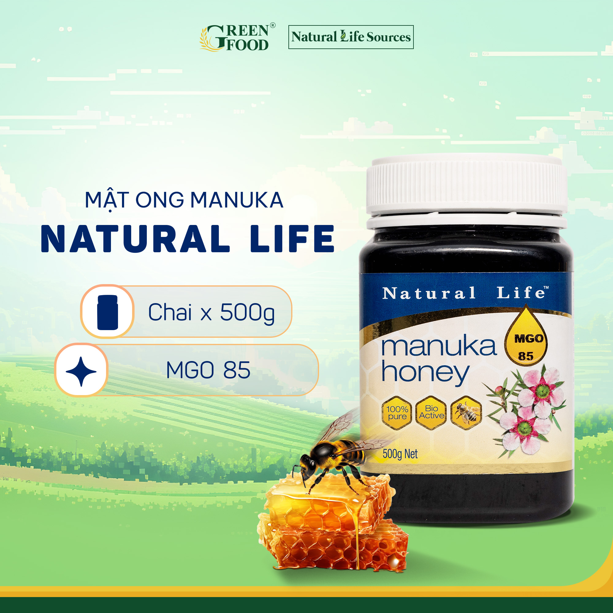 Mật ong Manuka nguyên chất Natural Life ™ MGO 85+ | Hộp 500g - kháng khuẩn, hỗ trợ tiêu hóa, làm lành vết thương, nhập khẩu chính hãng từ Úc.