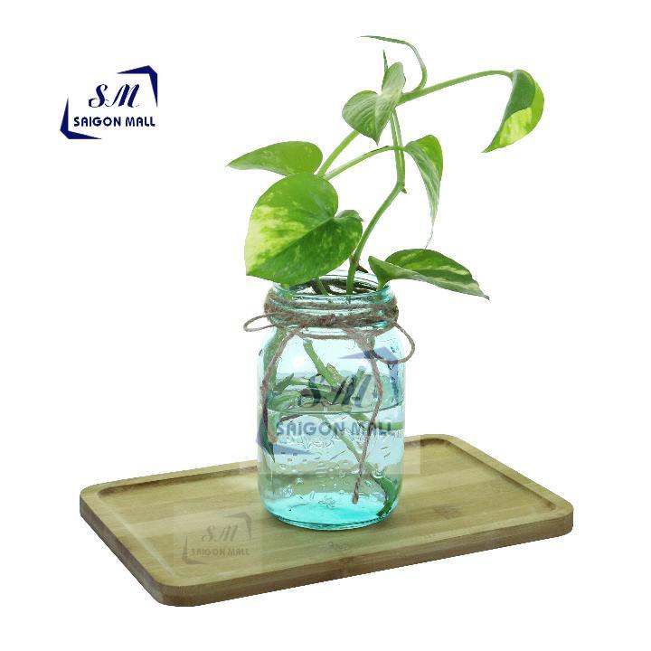 [HCM]Bình bông lọ hoa thủy tinh màu cao cấp + Tặng kèm dây trang trí