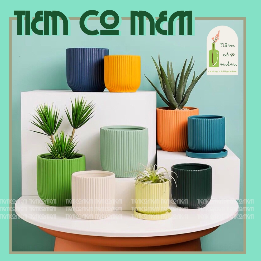 Chậu trồng cây kẻ sọc 6 màu pastel, chậu đất nung trồng cây sen đá, bon sai, tiemcomem, tiệm cỏ mềm, gốm sứ bát tràng