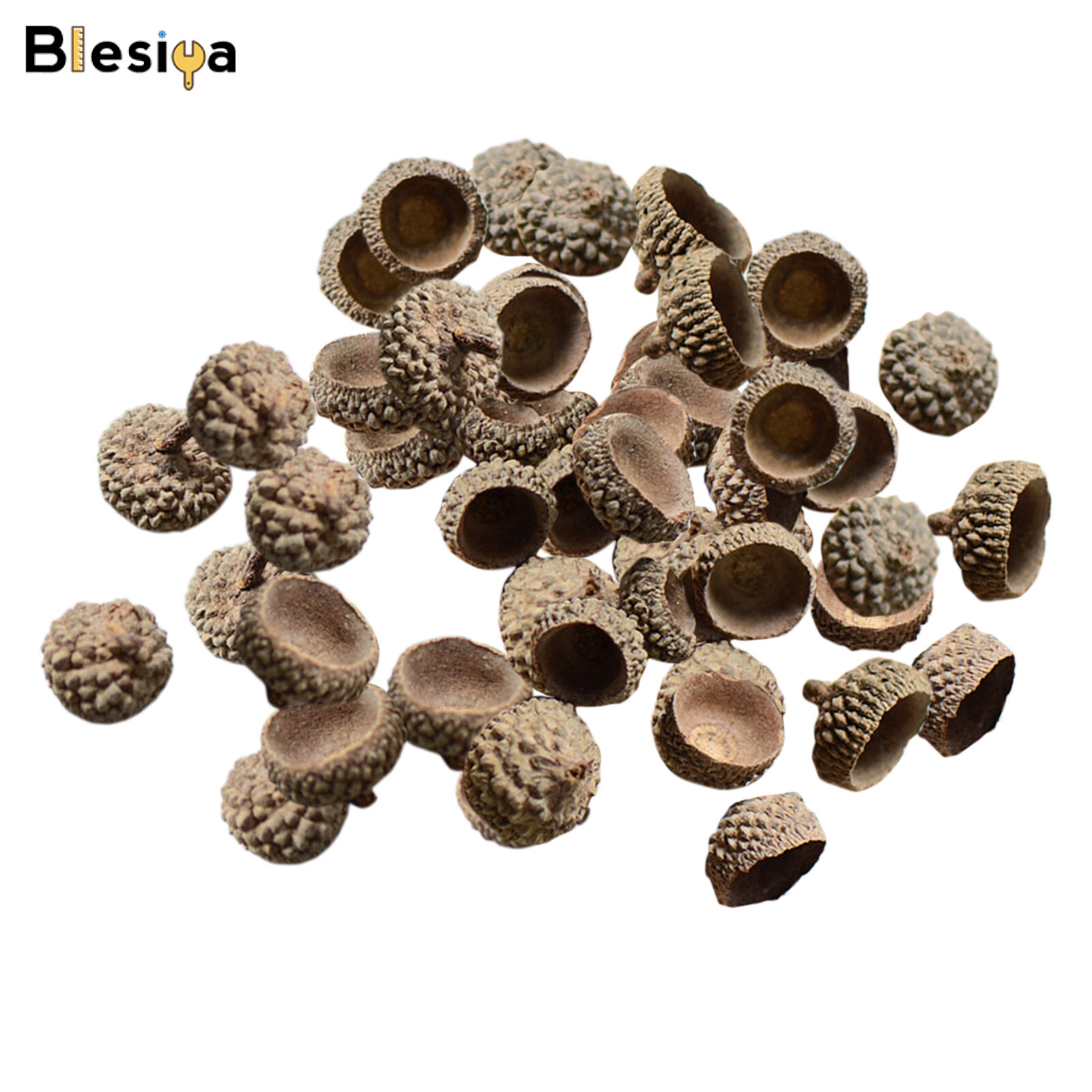 Blesiya 400 Chiếc Mũ Quả Sồi Thật Tự Nhiên Mũ Quả Sồi Tự Nhiên Giáng Sinh Tại Nhà