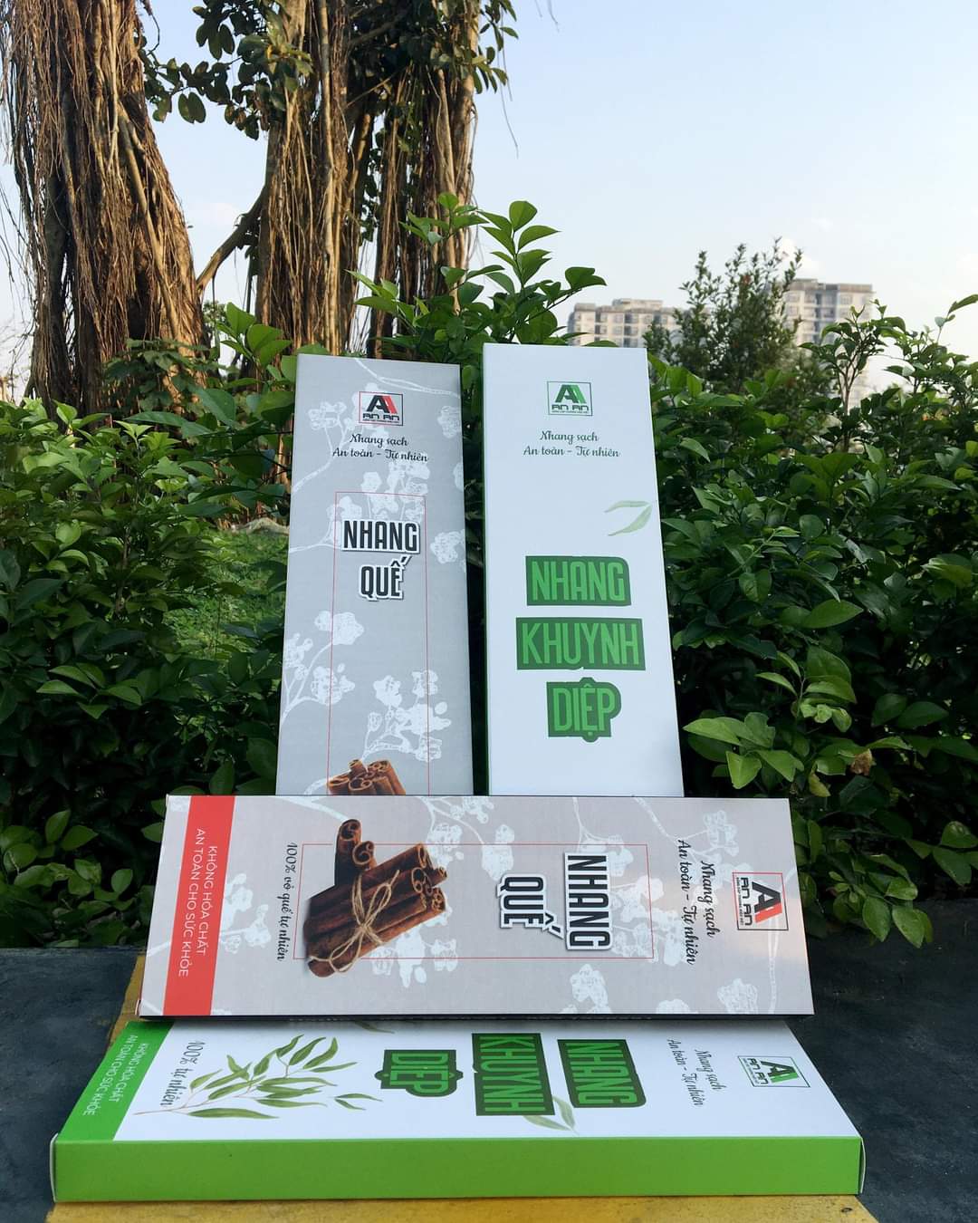 [HCM][COMBO 3 HỘP] Nhang sạch hương nhang thảo mộc tự nhiên 100% không hóa chất an toàn cho sức khỏe hương QUẾ - 200 cây - An An