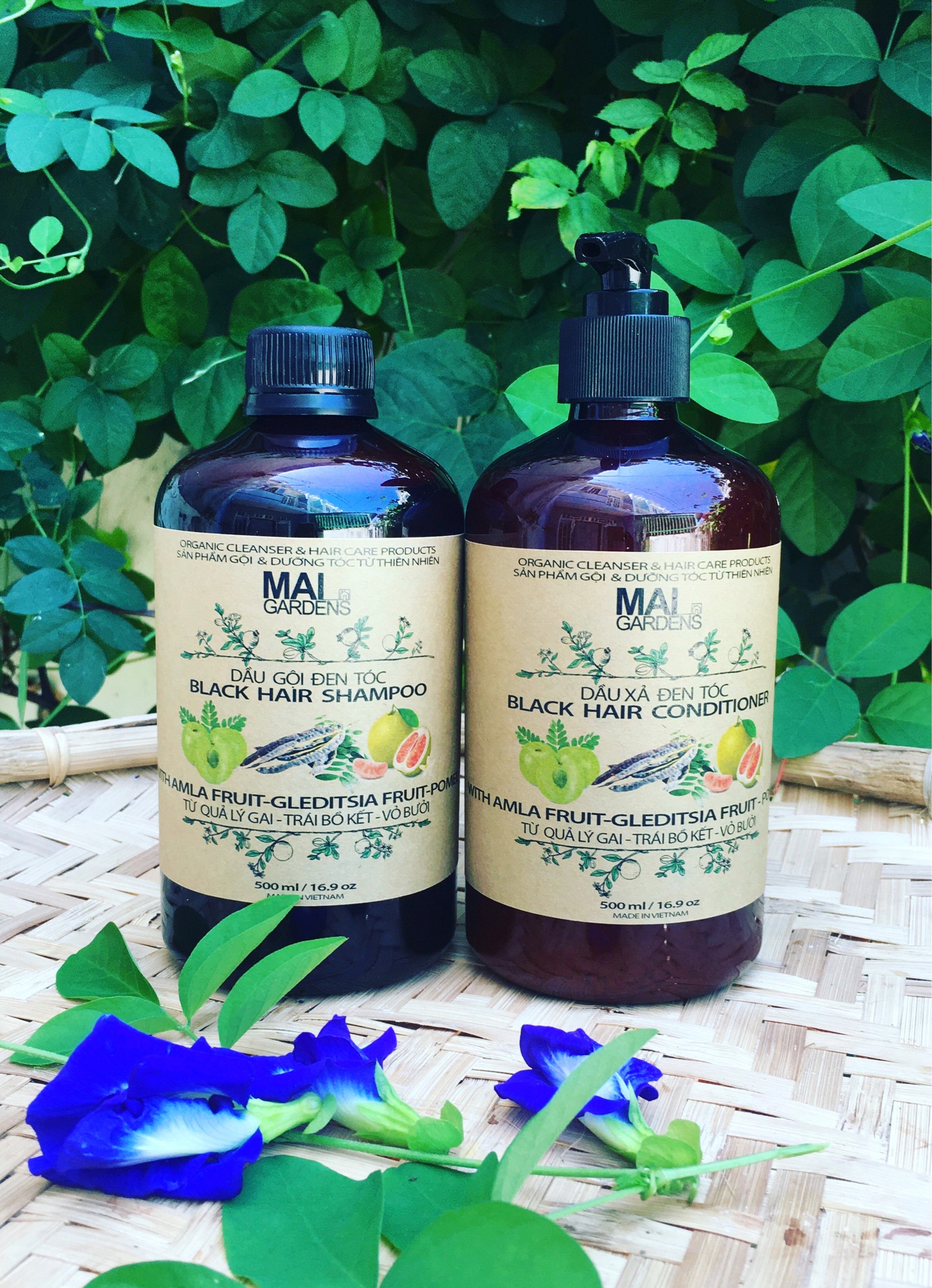 Dầu Gội Đen Tóc Từ Quả Lý Gai Ấn Độ