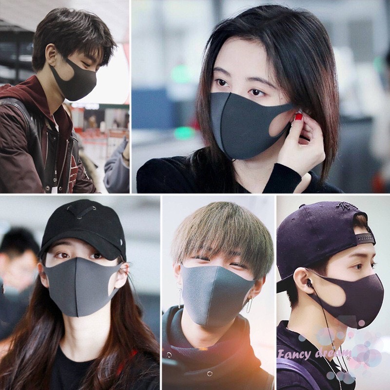 Khẩu trang Pitta Mask kháng khuẩn chống bụi