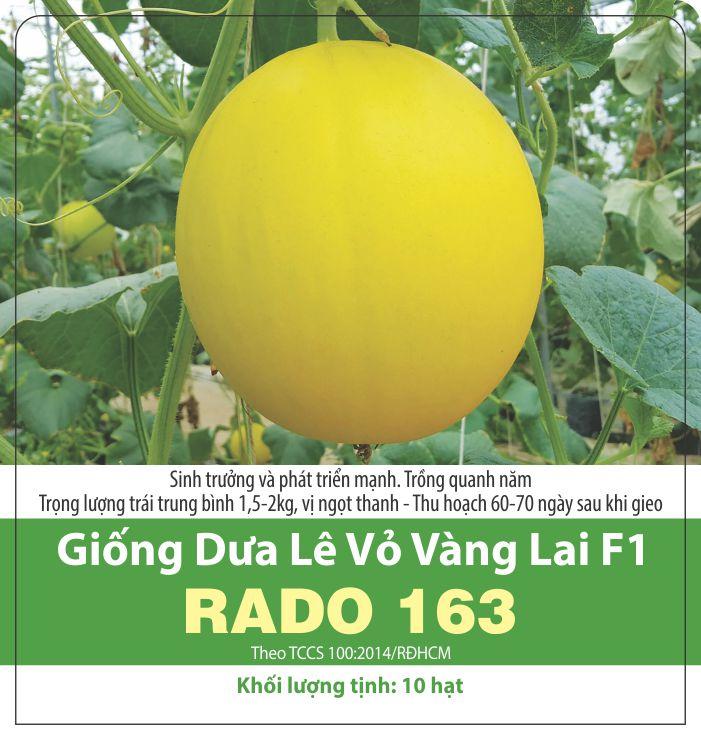 Hạt Giống Dưa Hoàng Kim