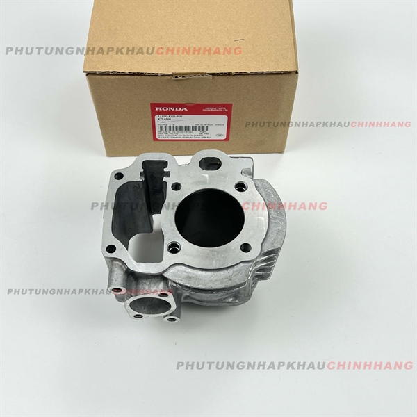 Lòng Xy Lanh Air Blade 110 2008(Xăng Cơ), Click 110 2008(XC), Lòng zin AB 110 Chế Cơ, Click Bình xăng con - 12100KVB900