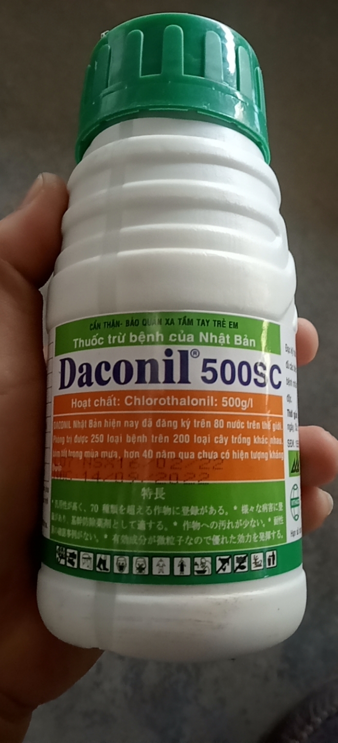 Daconil 500sc trừ nấm bệnh cây trồng ● Daconil 500 SC là thuốc trừ bệnh Nhật Bản được đăng ký trên 80 nước trên thế giới. Còn phòng trừ được 250 loại bệnh trên 200 loại cây trồng khá