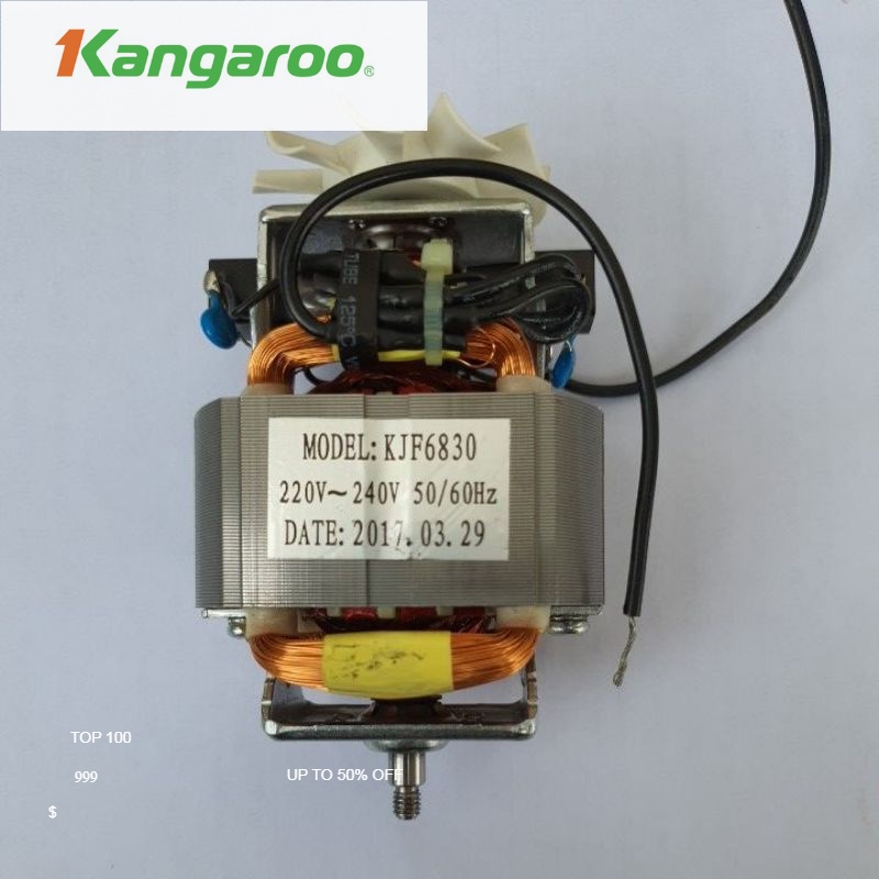 Động cơ, Motor máy xay sinh tố Kangaroo KG3B2