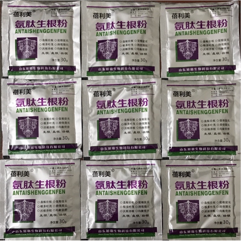Kích rễ nội địa Trung, kích rễ Trung Quốc, kích rễ cực mạnh