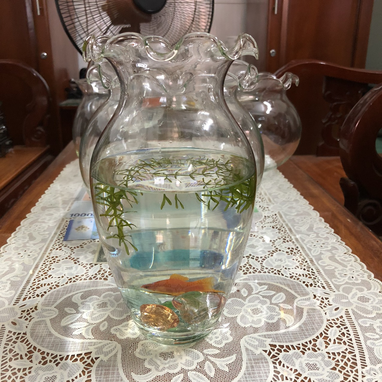 [HCM]MẪU B23(D14cm*H25cm) BỂ CÁ THỦY TINH HỒ CÁ MINI CHẬU CÂY THỦY SINH ĐỂ BÀN - THỦY TINH BẮC HẢI