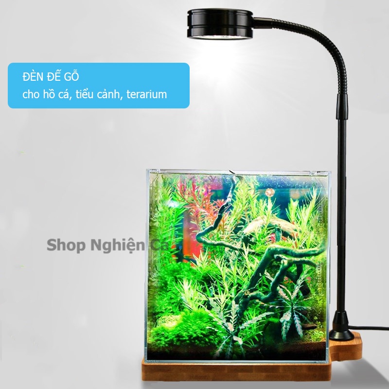 Đèn đế gỗ, đèn led rọi hồ cá, đèn đế gỗ cho bình terrarium