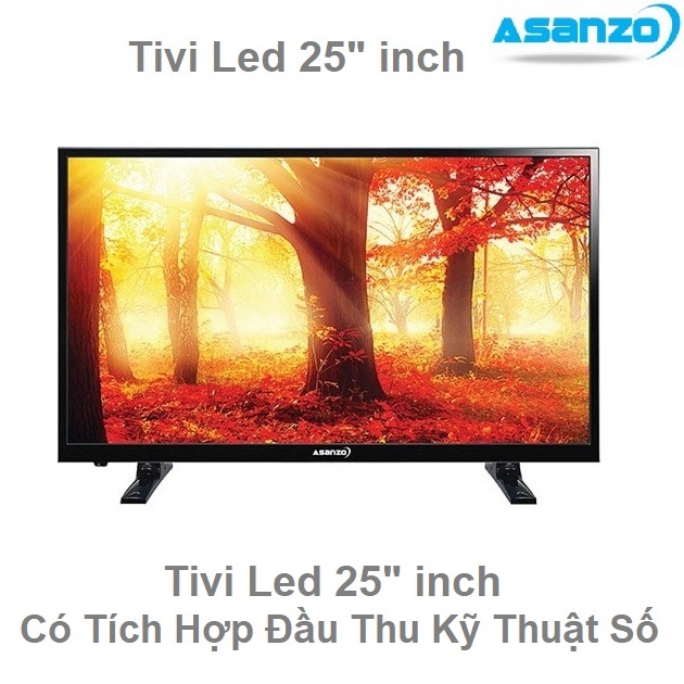 Tivi led 25 inch Asanzo tích hợp đầu thu KTS