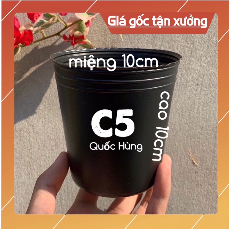 Combo 10 - 20 chậu nhựa ươm cây C5