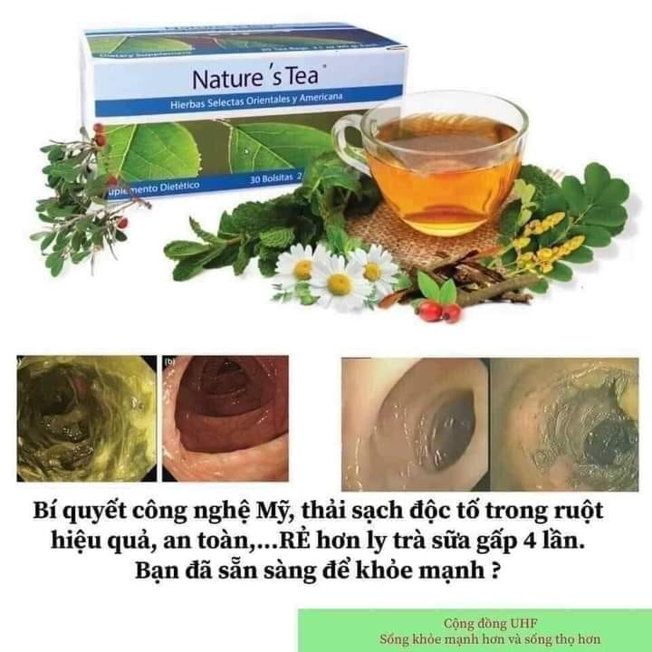 Trà Thảo Mộc Thiên Nhiên Nature s Tea - Trà thải độc đường ruột của Mỹ Hộp