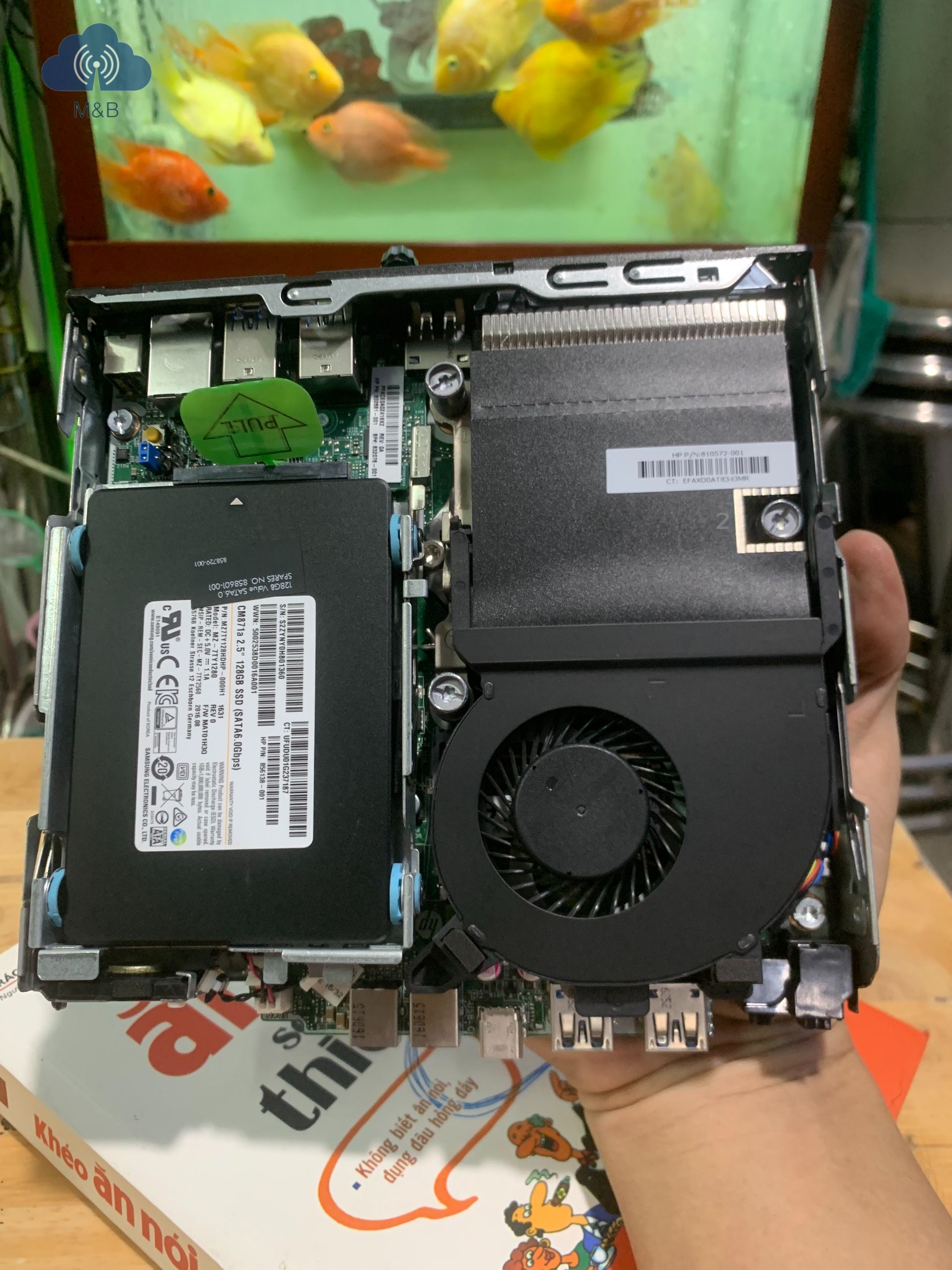 Máy tính hp elitedesk 800 g2