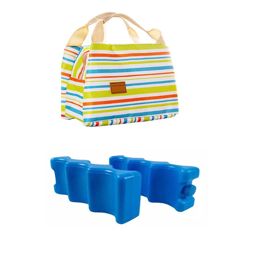 Combo túi giữ nhiệt kẻ ngang 23x14x17cm + 2 thanh đá khô võng 3 sóng