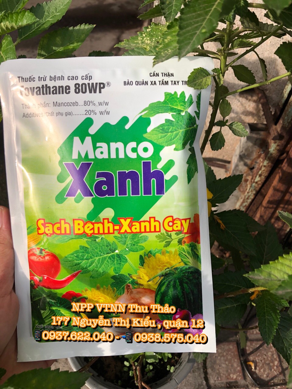 Mancozeb xanh - thuốc trừ bệnh cây manozeb 80wp - gói 100gr - trừ bệnh vàng lá, đạo ôn, thán thư, mốc sương, rỉ sắt