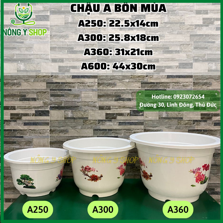 Chậu nhựa in hoa bốn mùa, chậu A bốn mùa, chậu trồng hoa, cây cảnh, chậu nhựa, chậu tròn, chậu vành